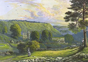 Ruined Collection: Rievaulx Abbey, near Helmsley, North Yorkshire