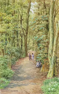 Shady Prints: Riftswood, Saltburn-by-the-Sea, North Yorkshire