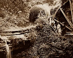 Rigg Mill near Whitby, Victorian period