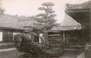Shaped Prints: Rikusho-no-Matsu boat-shaped pine tree - Kinkakuji Temple