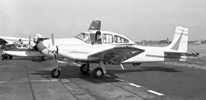 Riley Prints: Riley Twin Navion EC-WNM