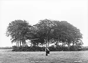 Clump Prints: Ring fort, Glenavy