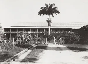 Rio Cobre, Spanish Town, Jamaica, West Indies