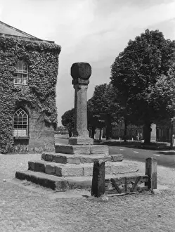 Ripley Weeping Cross