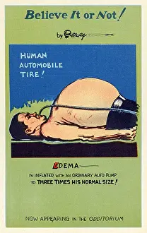 Tube Prints: Ripleys Believe-it-or-not - Anato Hayes - Odditorium