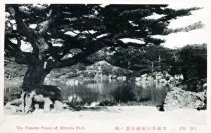 Ritsurin Garden in Takamatsu, Japan. Completed in 1745 as a private strolling garden and villa for the local feudal lords, and opened to the public in 1875. A major tourist attraction for Kagawa Prefecture. Date: 1928