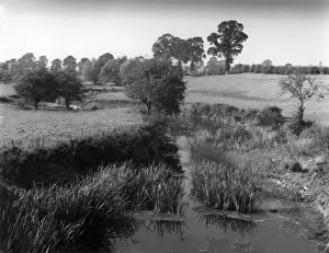 Fosse Prints: RIVER AVON