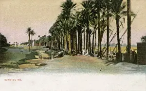 Shores Prints: River bank of the Nile near Cairo, Egypt