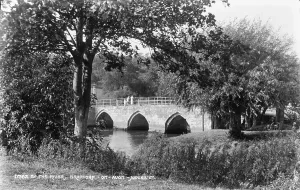 Greenery Prints: By the River Bradford
