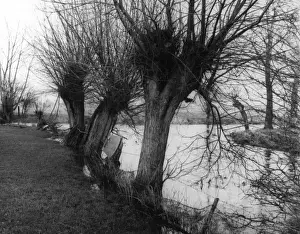 Churn Prints: River Confluence