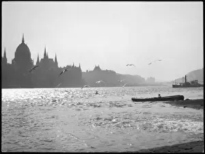 Meal Prints: The River Danube