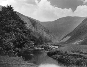 Images Dated 24th March 2011: The River Dove