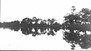 Abgf Collection: River Gambia (reflections)
