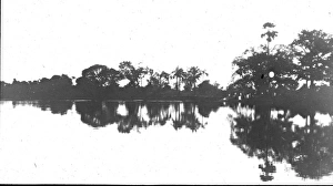 Abgf Collection: River Gambia (reflections)
