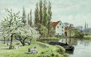 Ipswich Prints: Mill on the River Gipping, near Ipswich, Suffolk