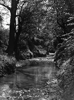 Tributary Prints: River Lea Tributary