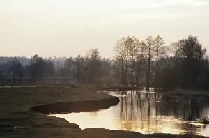 Bonasus Prints: River Lesnaya in early morning