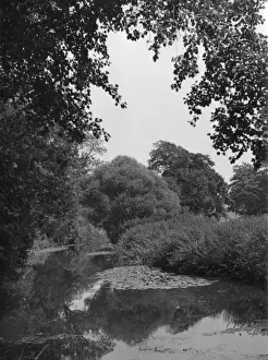The River Mole