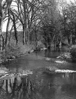 The River Mole