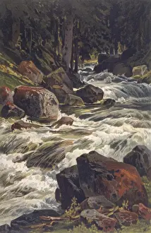River & Moss