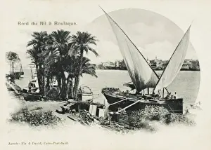 The River Nile at Boulaque