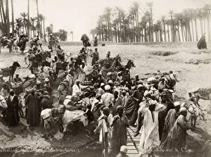 River Nile, Egypt, crowd of men with mules and donkeys