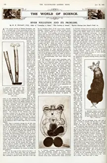 Problems Prints: River pollution and its problems, ILN January 1932