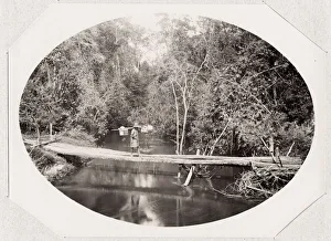 River scene, porter crossing a bridge, Madagascar