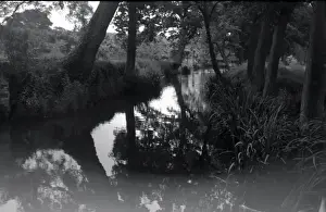 Cranbrook Prints: River, Sissinghurst, Kent