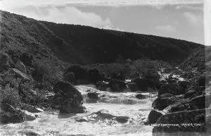 Flowing Prints: River Taw in Dartmoor