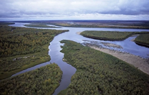 Aerials Gallery: River Taz with sand-shelves, old river beds & islands