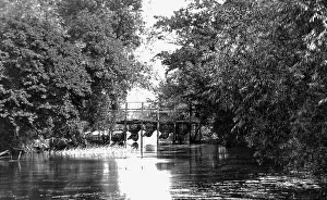 River Thames Eel Bucks near Culham Court Victorian period