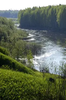 River Tura in North Ural Mountains - a typical