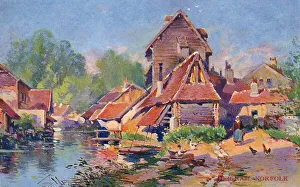 River Wensum - Heigham, Norwich, Norfolk, England