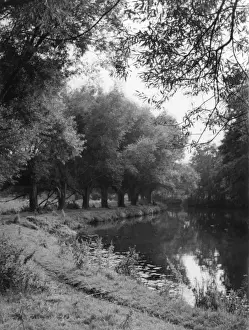 The River Wey