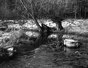 The River Whitewater