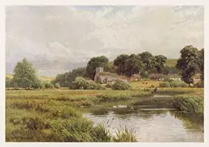 River Wiley, Stapleford