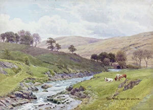 Source Collection: River Wye near its source, Plynlimon, Mid Wales