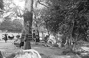 Riverside Park, Tavistock