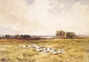 Pasture Prints: The Riverside Pasture
