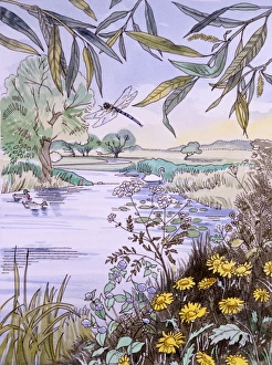 Beautiful Landscapes Gallery: Riverside scenery