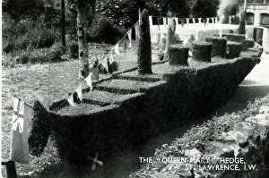 Images Dated 7th March 2019: RMS Queen Mary Hedge, St Lawrence, Isle of Wight