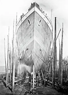 Allan Prints: RMS Victorian, Allan Shipping Line