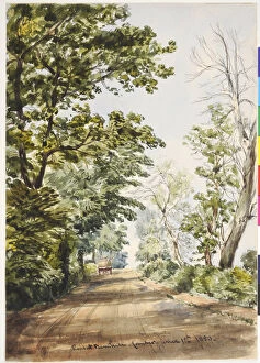 Moore Collection: Road at Barnhill, Comber