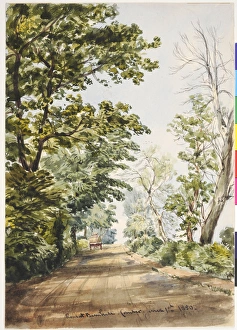Images Dated 3rd February 2011: Road at Barnhill, Comber
