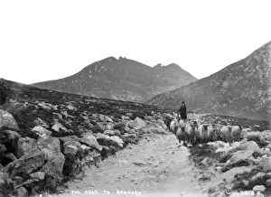 The Road to Bernagh