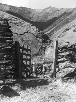 Images Dated 28th March 2011: Road to Blencathra