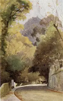 Sintra Prints: A Road in Cintra