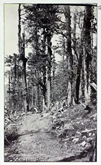 Tibet Prints: Road to Nathula, a mountain pass in India