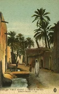 Images Dated 7th December 2015: A road in Old Biskra. With date palms